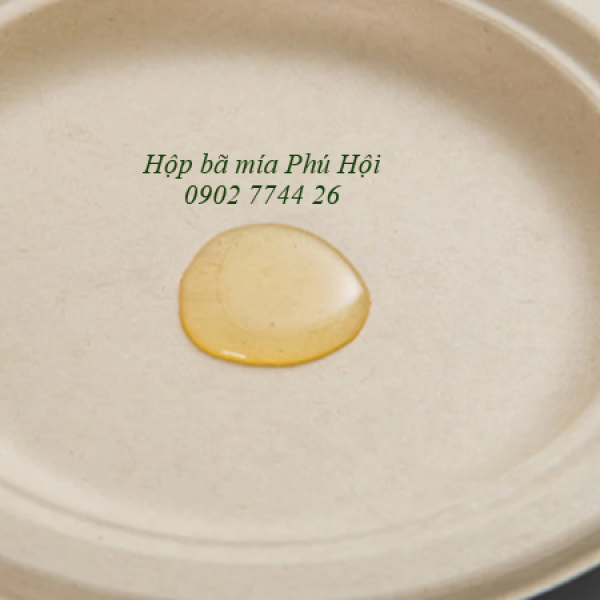 Đĩa bã mía phi  Ø 20.5*16mm tại Quận Tân Phú TP HCM